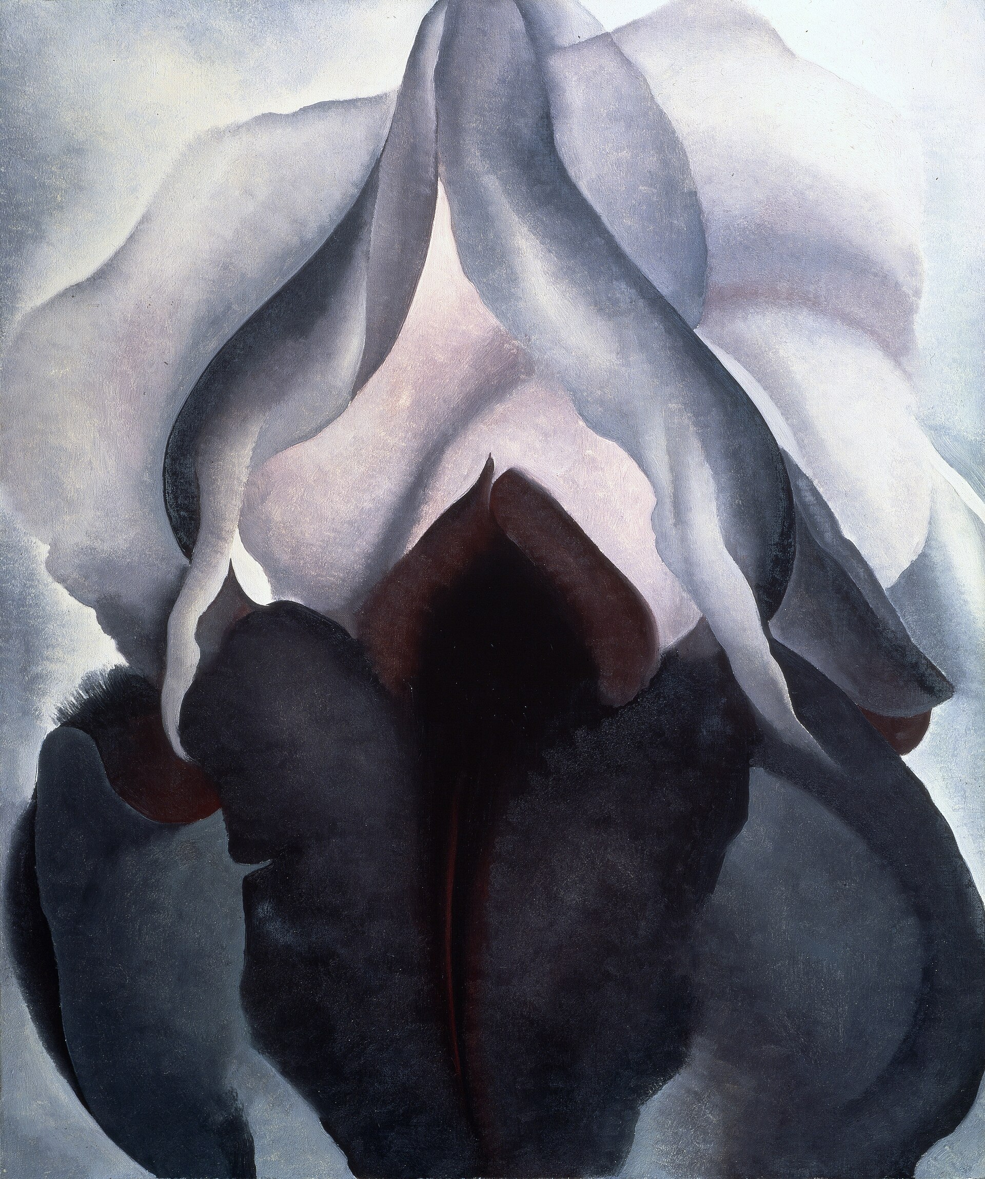 Black Iris by Georgia O'Keeffe, 1926, The Metropolitan Museum of Art