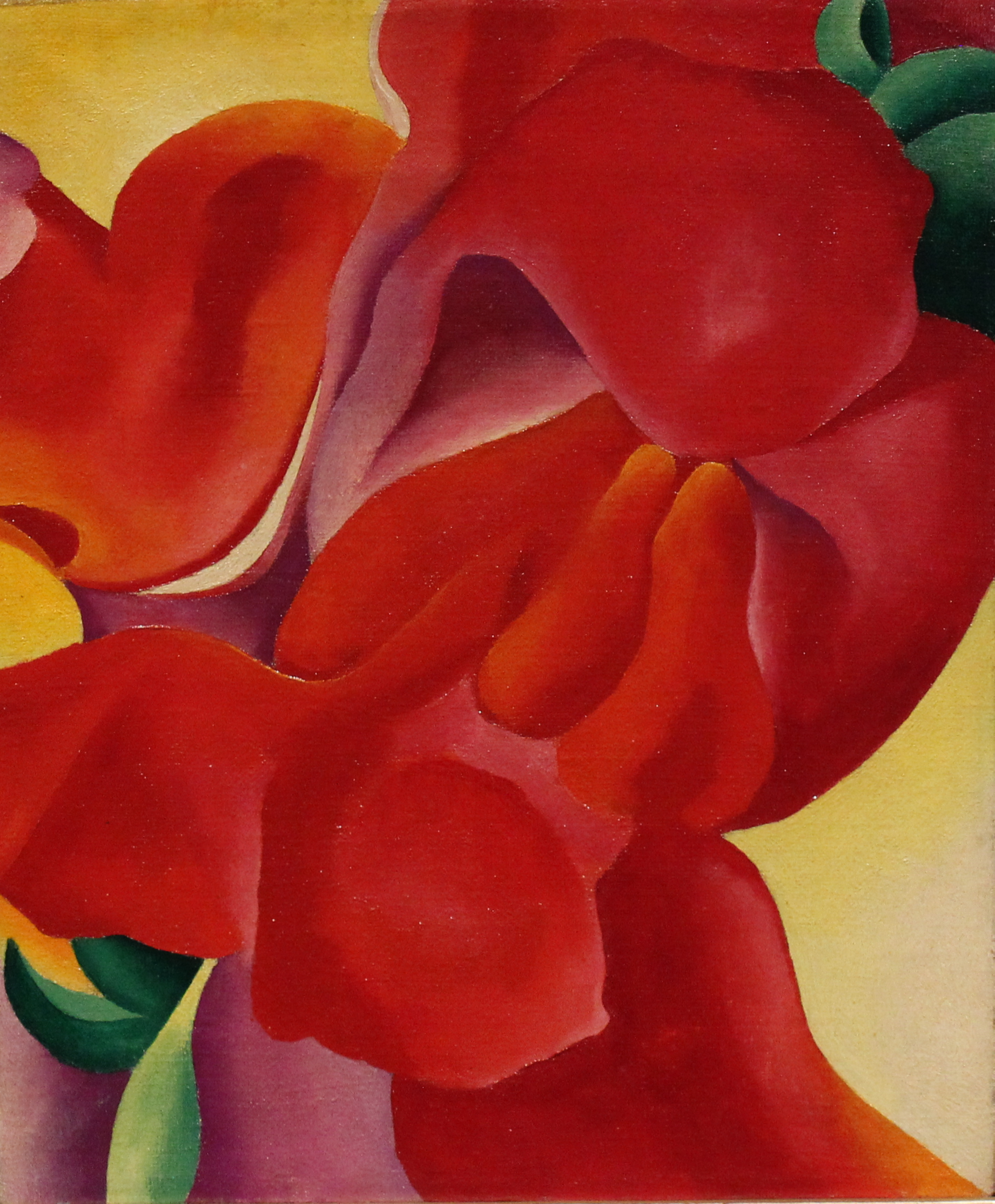 Red Canna by Georgia O'Keeffe, 1924–1925, Georgia O'Keeffe Museum / Access O'Keeffe